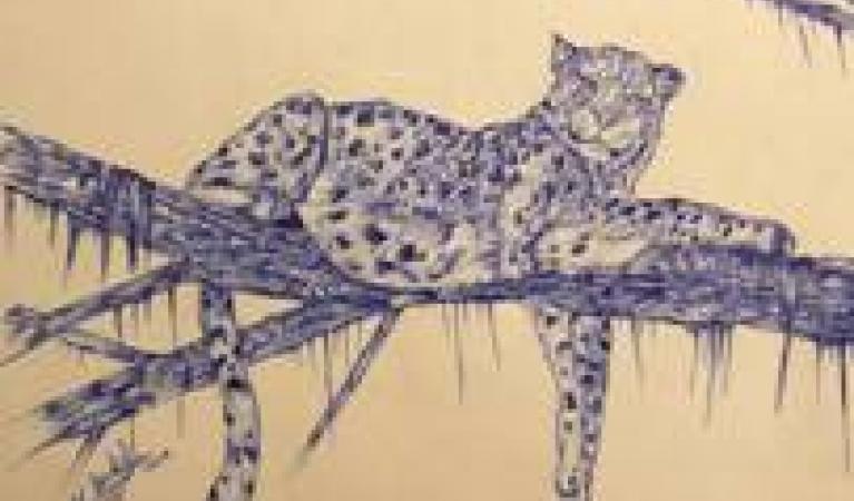 leopard ofir