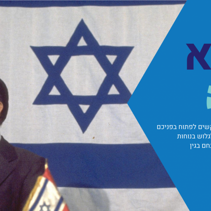 בגין