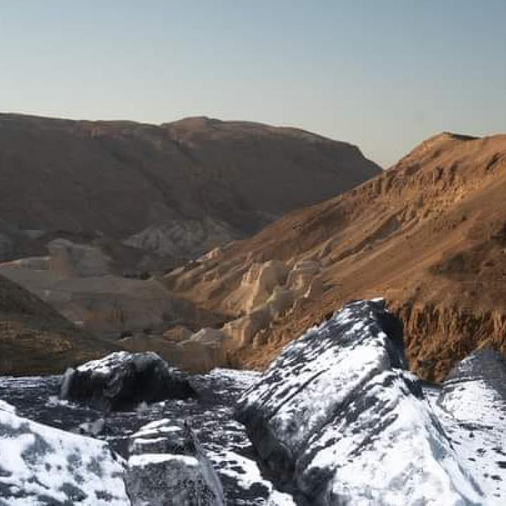 המרכז לאמנות עכשווית בערד