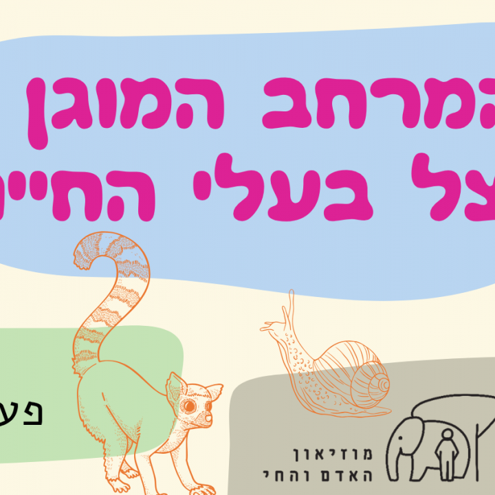מוגן