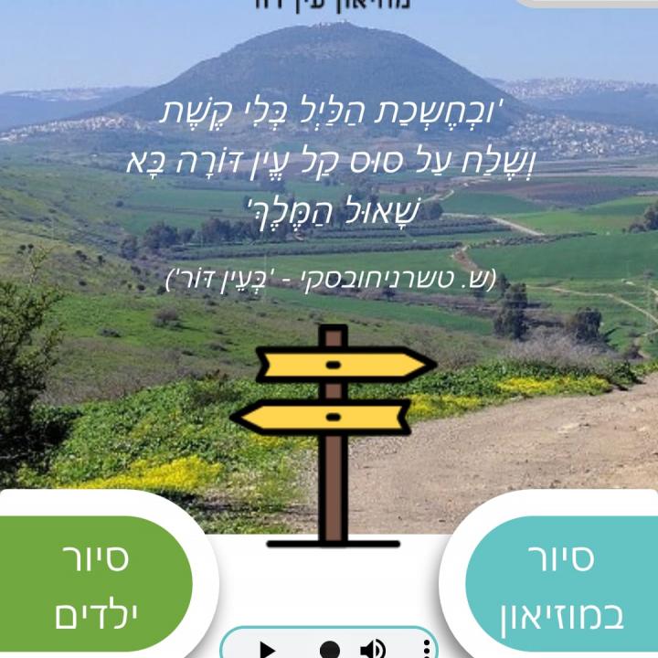 עין דור