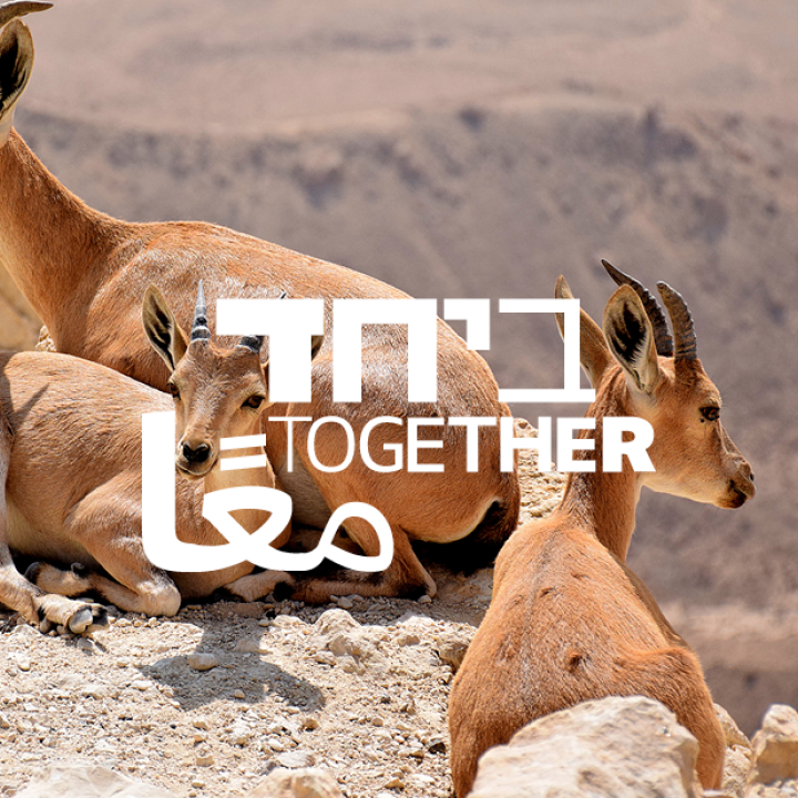 ביחד