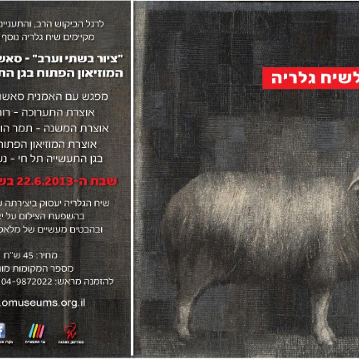  רשת סאשה-01