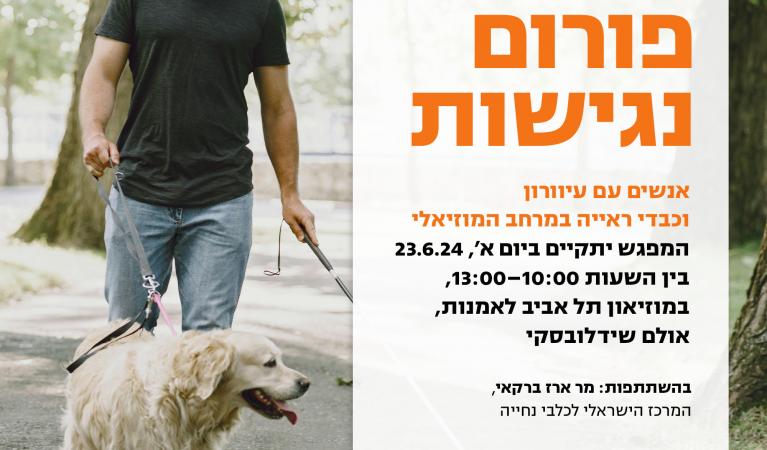נגישות