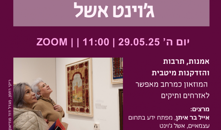נגישות