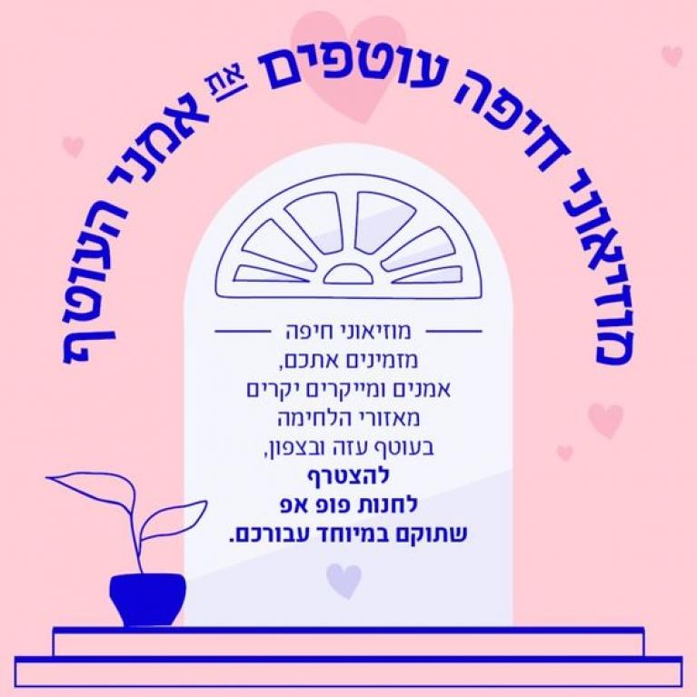 חיפה