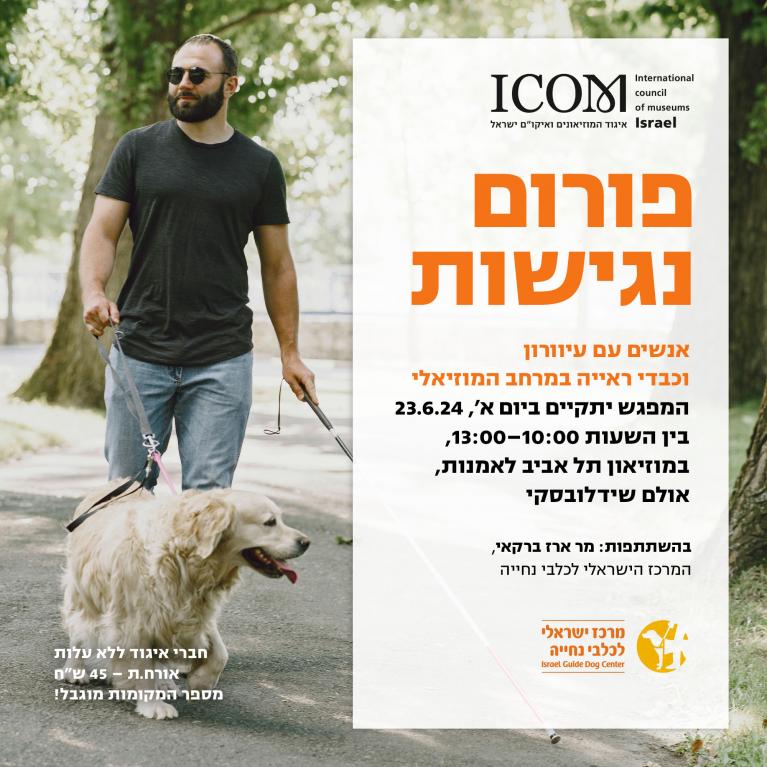 נגישות