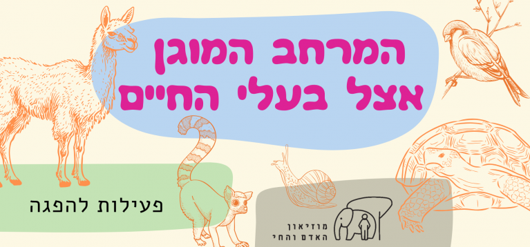 מוגן