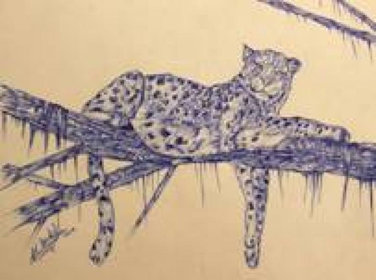 leopard ofir